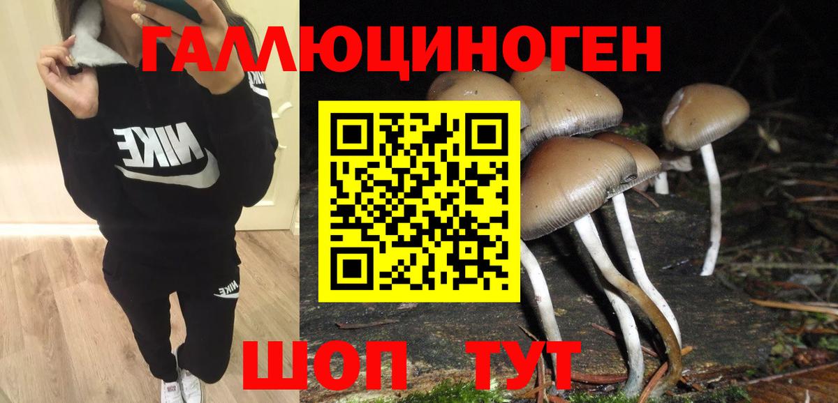 Галлюциногенные грибы ЛСД  Вход с VPN  Галлюциногенные грибы мухоморы  Воронеж 