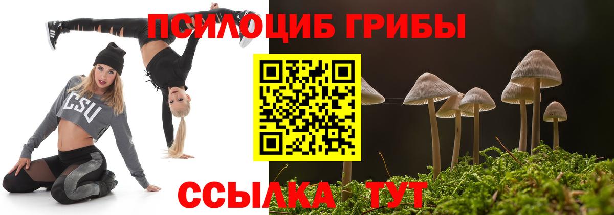 Галлюциногенные грибы ЛСД Воронеж